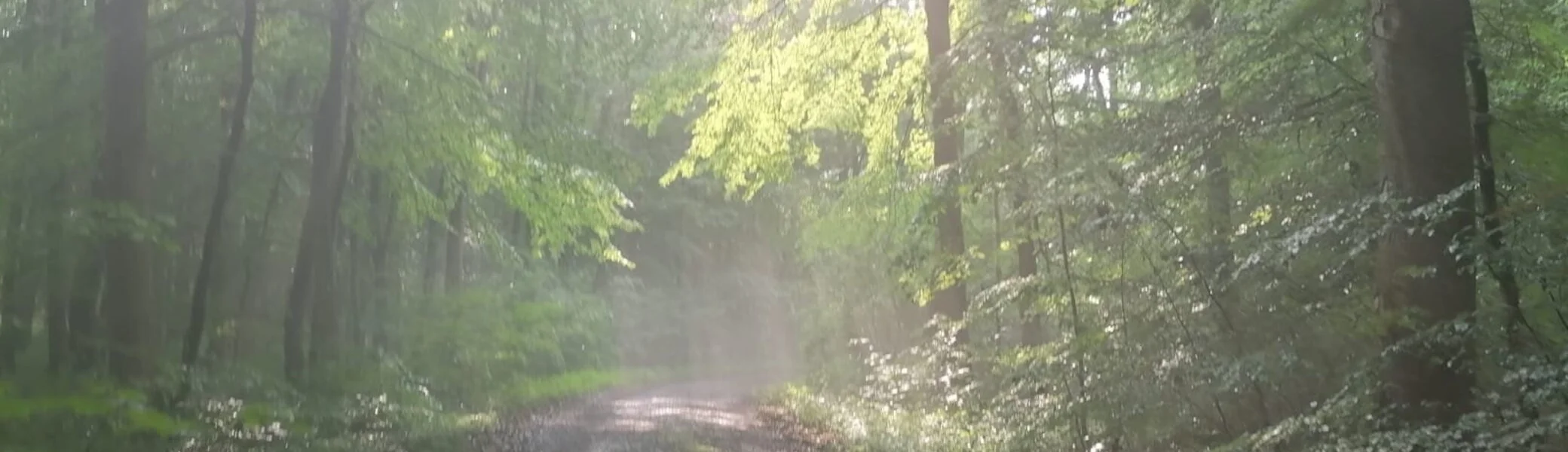 Dauerregen | © DAV Sektion Hameln / Wolfgang Helmboldt