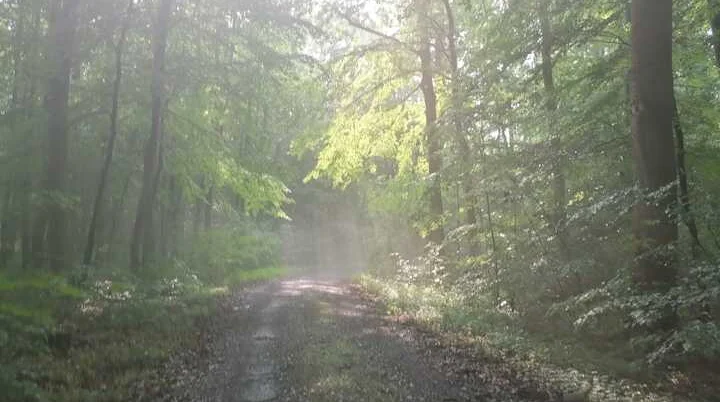 Dauerregen | © DAV Sektion Hameln / Wolfgang Helmboldt