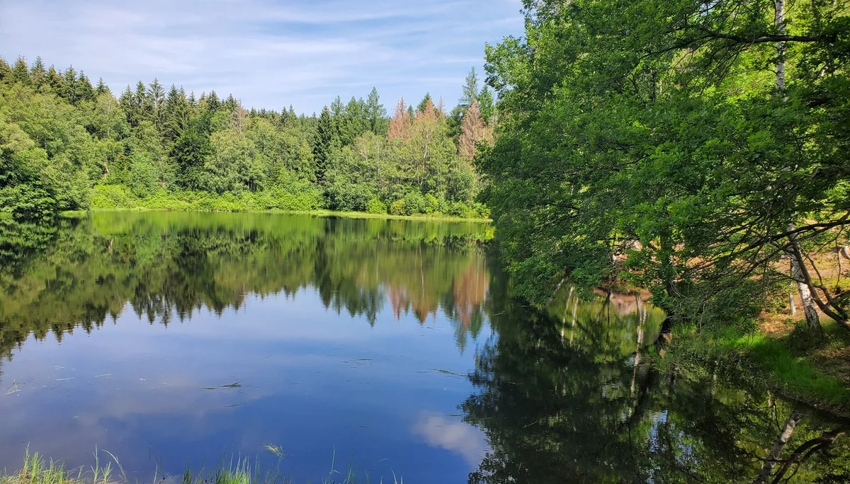 See bei Friedrichsbrunn | © DAV Sektion Hameln / Wolfgang Helmboldt