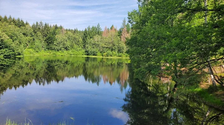See bei Friedrichsbrunn | © DAV Sektion Hameln / Wolfgang Helmboldt