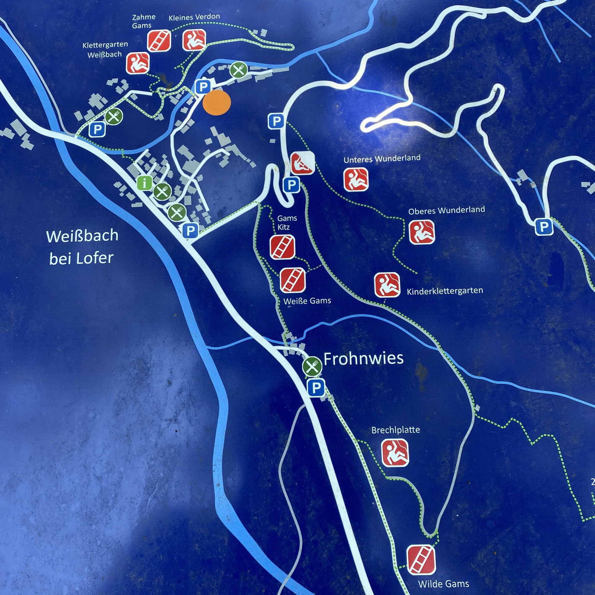 Gams | © DAV Sektion Hameln / Robert Paulsteiner