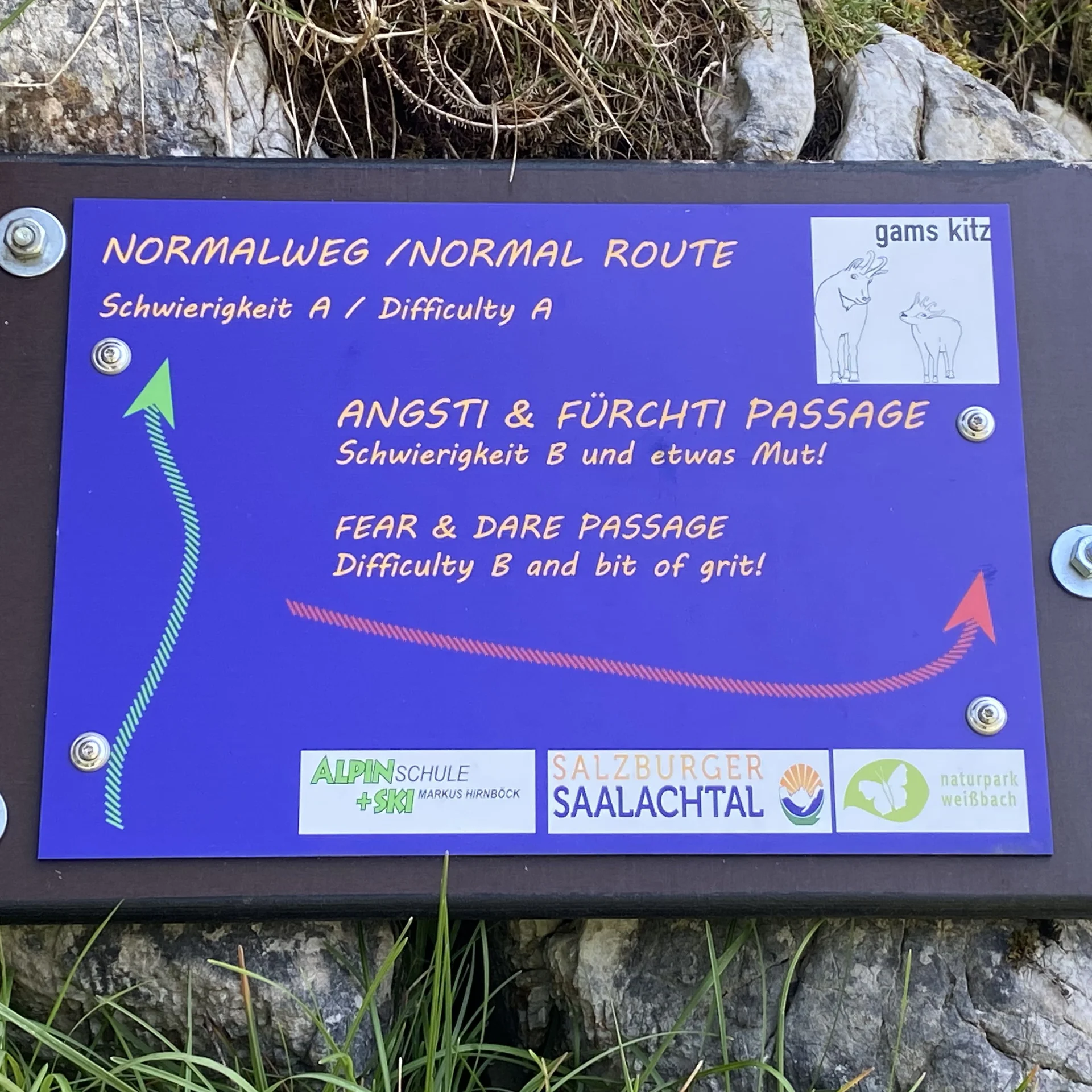 Gams | © DAV Sektion Hameln / Robert Paulsteiner