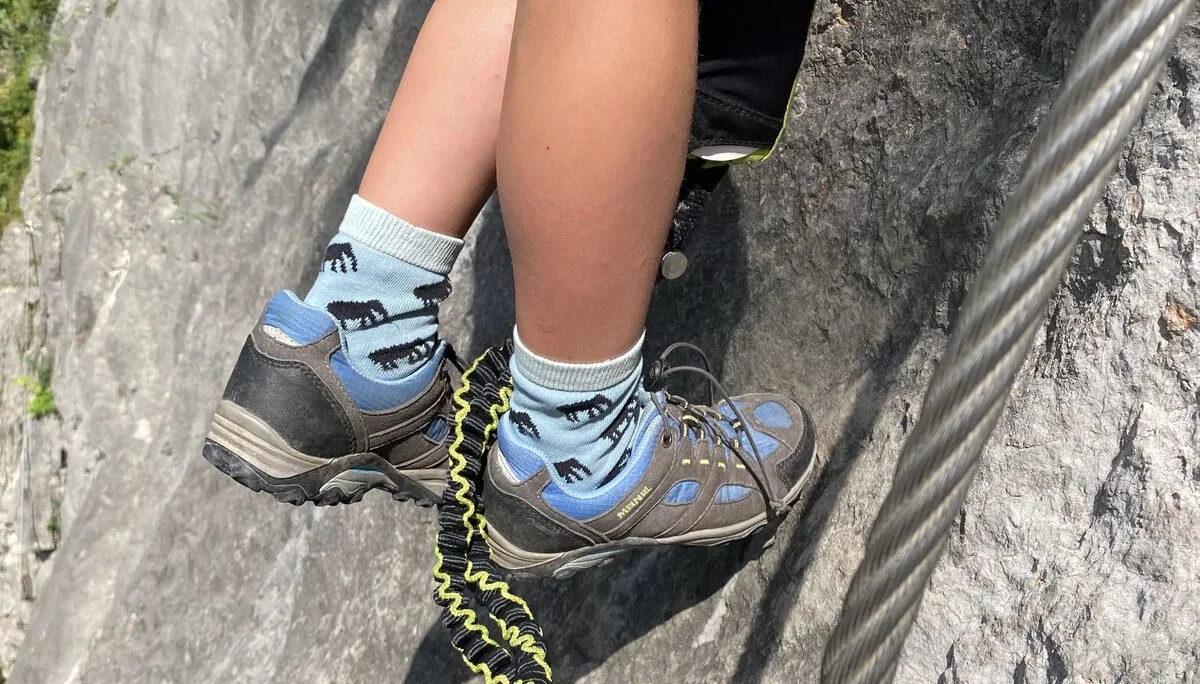 Gams | © DAV Sektion Hameln / Robert Paulsteiner