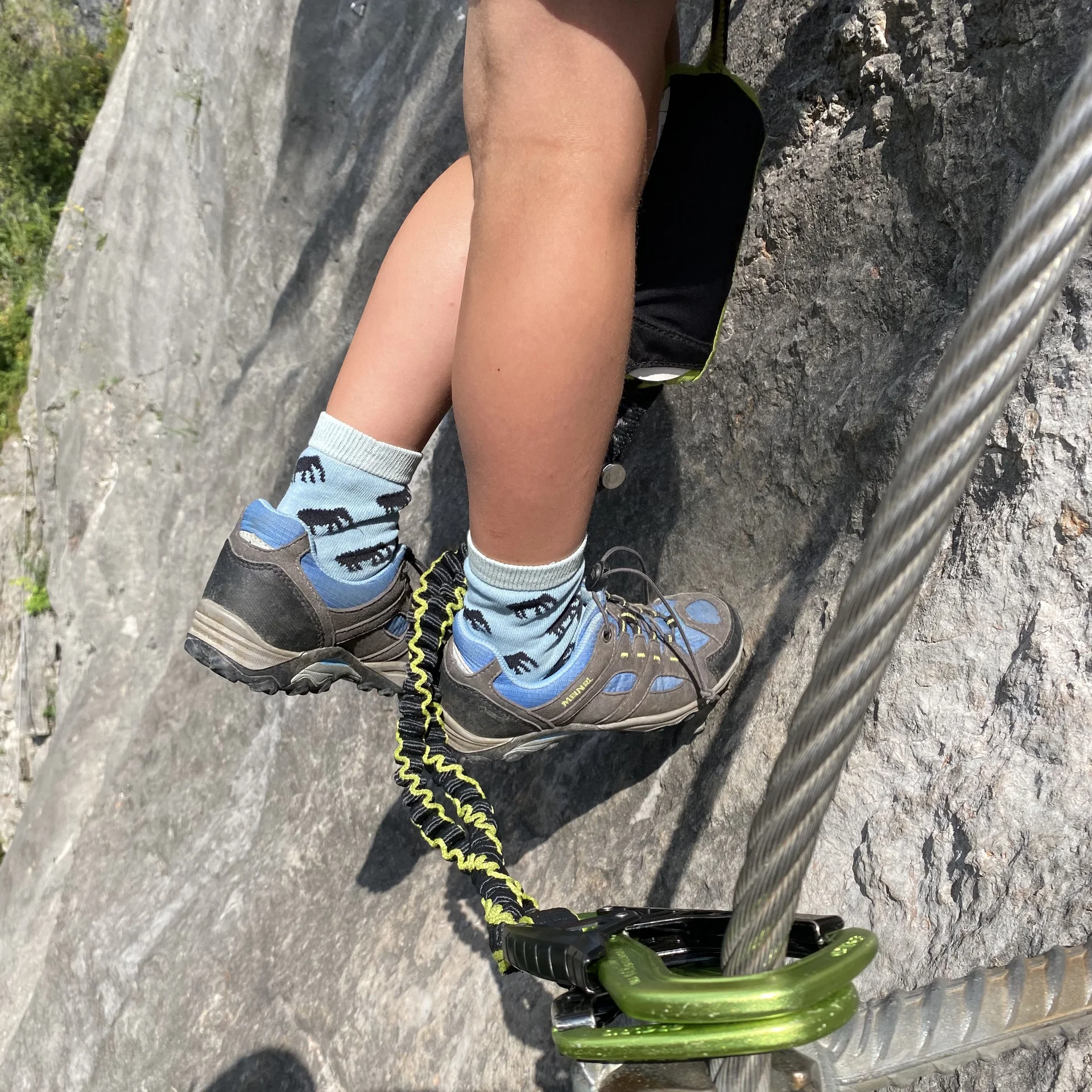 Gams | © DAV Sektion Hameln / Robert Paulsteiner