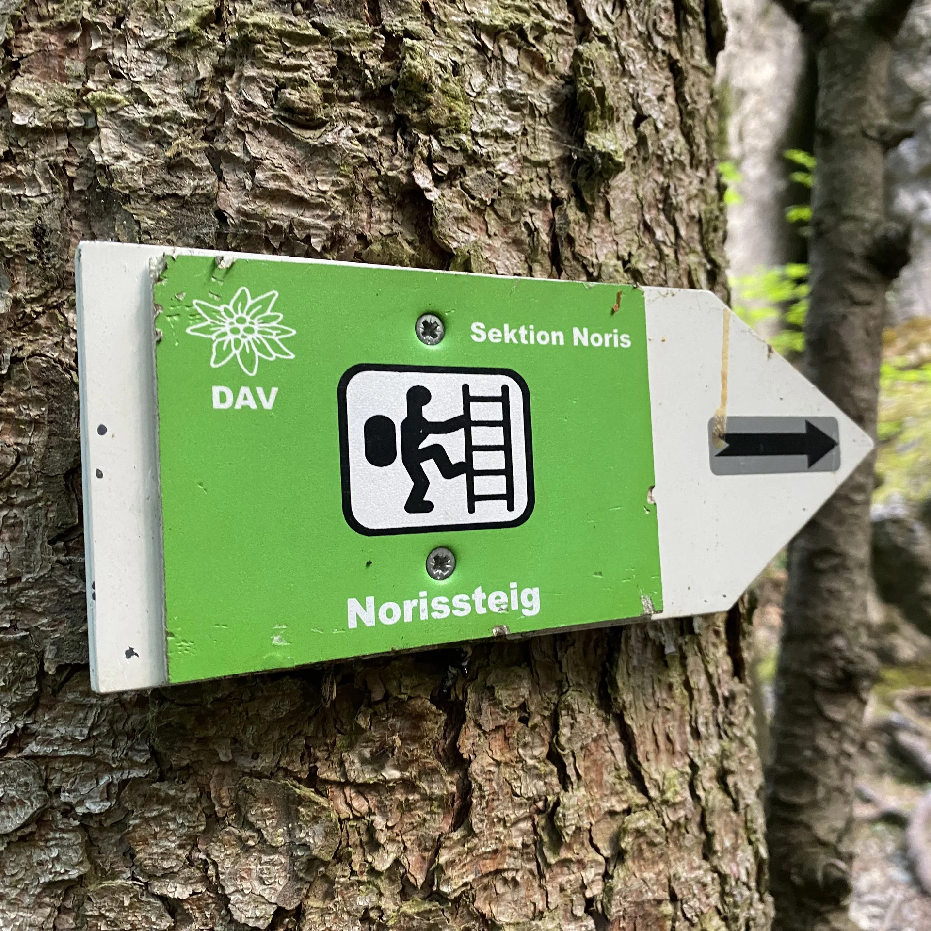 Norissteig | © DAV Sektion Hameln / Robert Paulsteiner