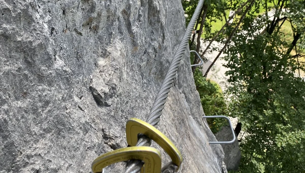 Gams | © DAV Sektion Hameln / Robert Paulsteiner