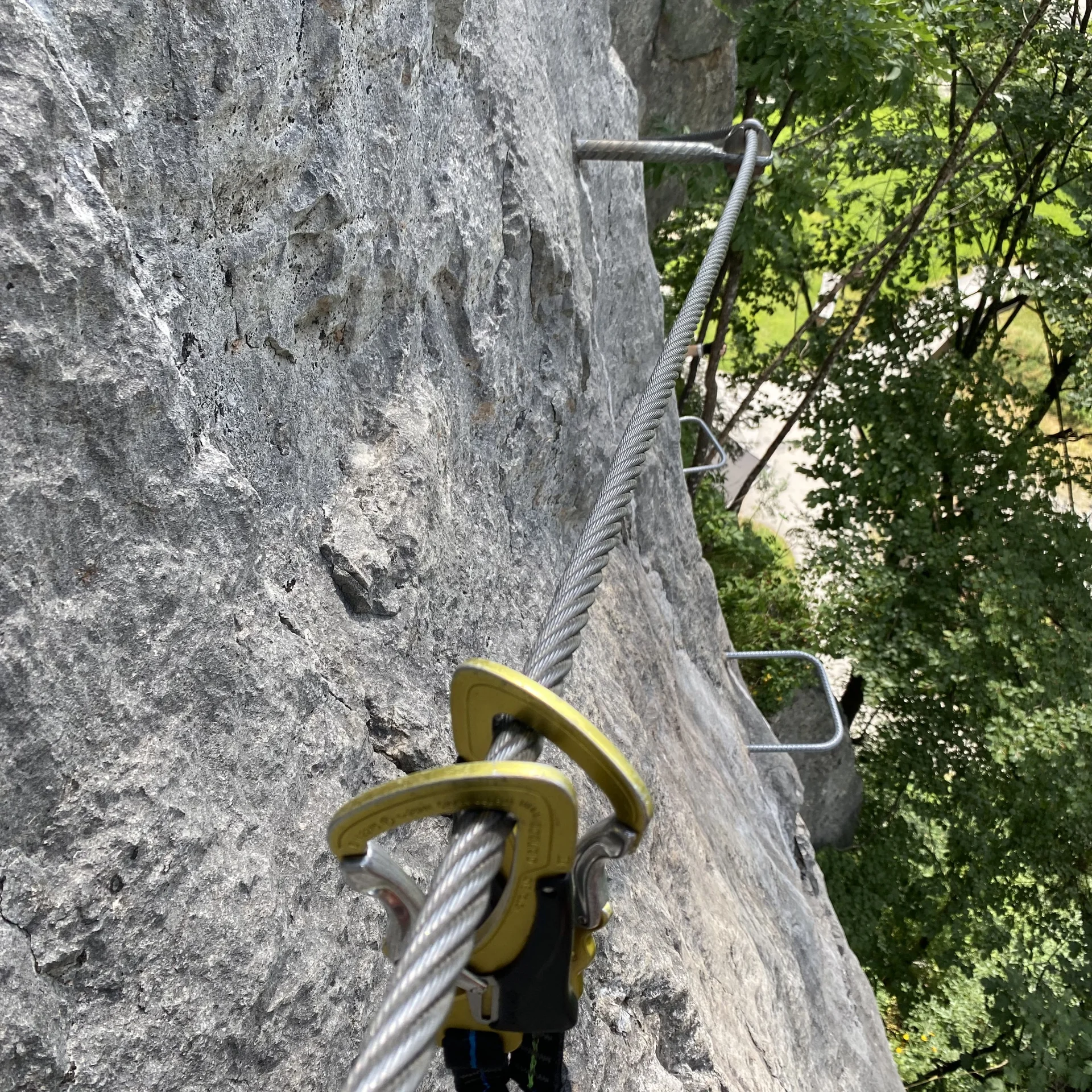 Gams | © DAV Sektion Hameln / Robert Paulsteiner