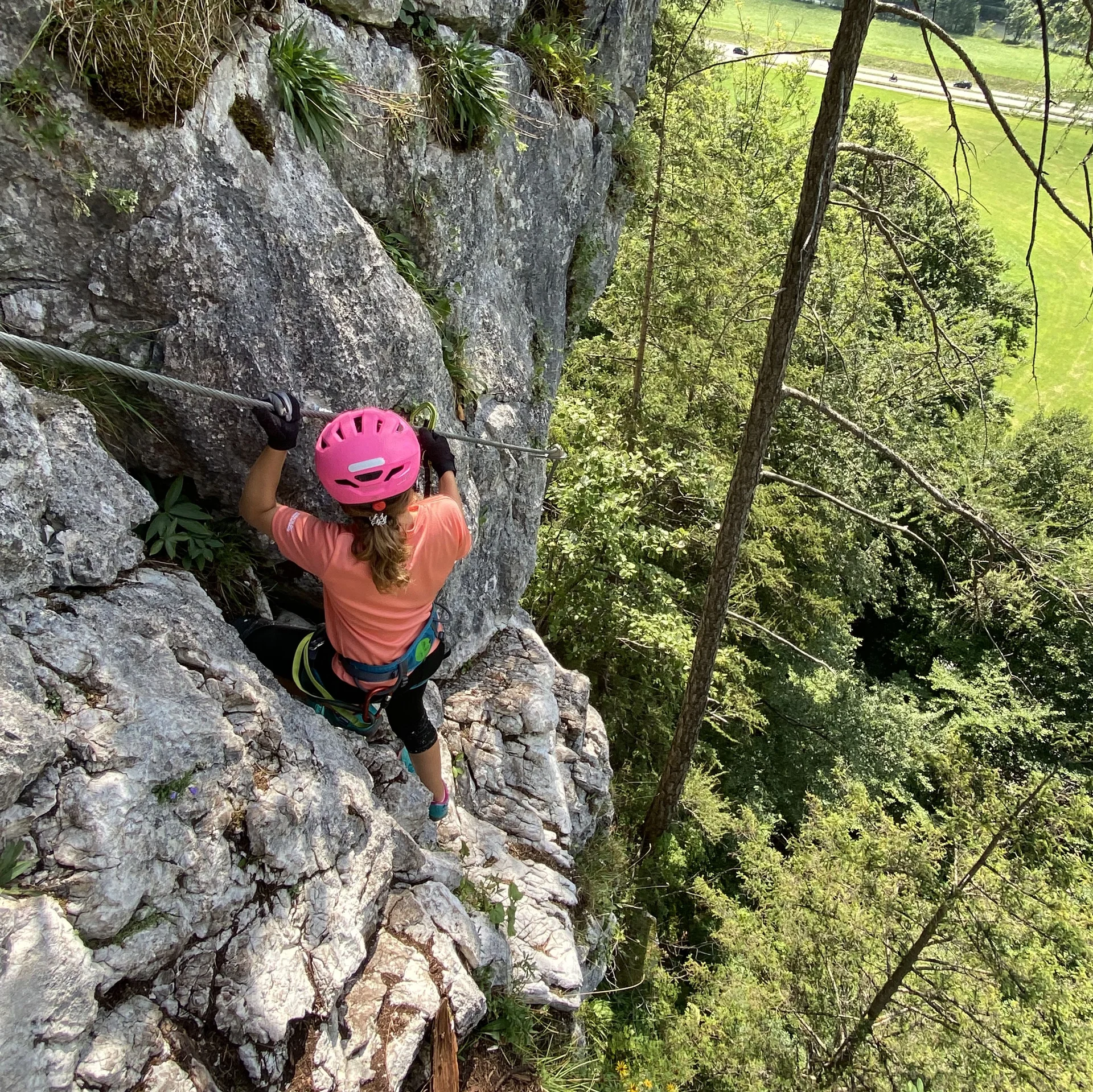 Gams | © DAV Sektion Hameln / Robert Paulsteiner