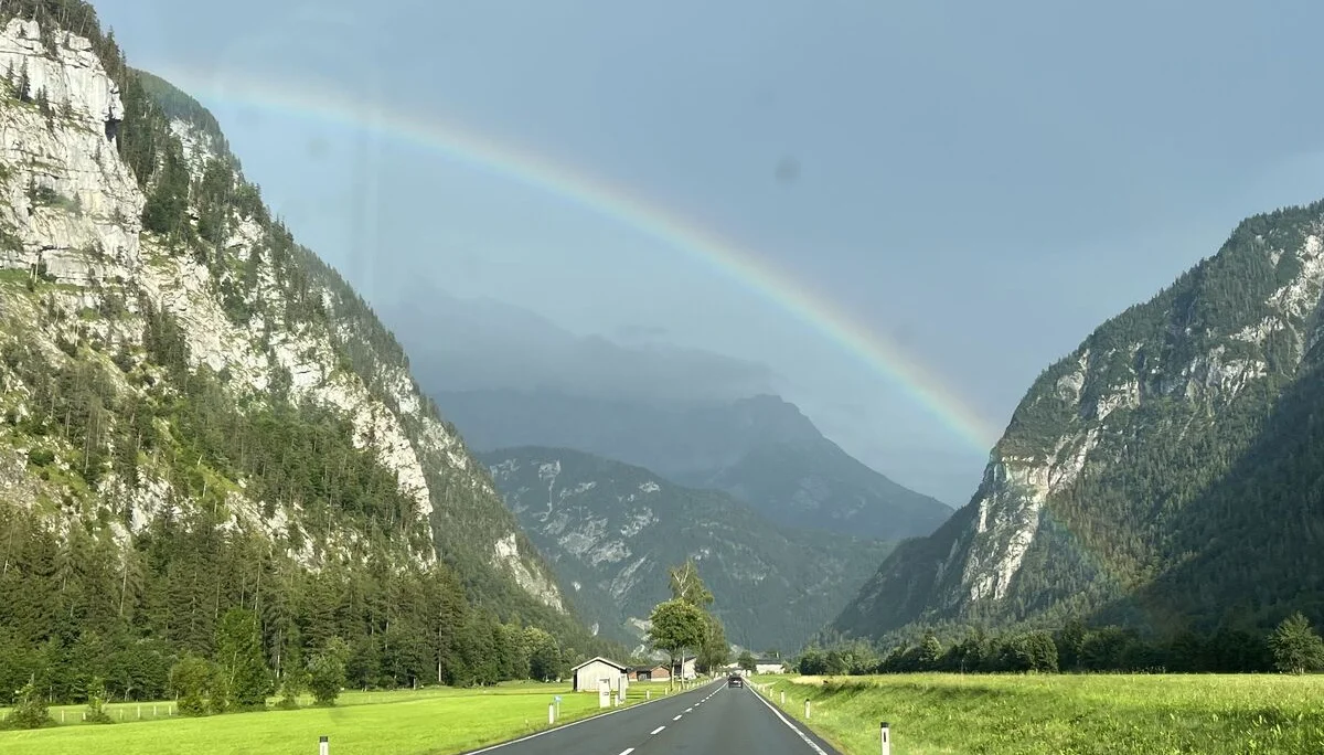 Gams | © DAV Sektion Hameln / Robert Paulsteiner