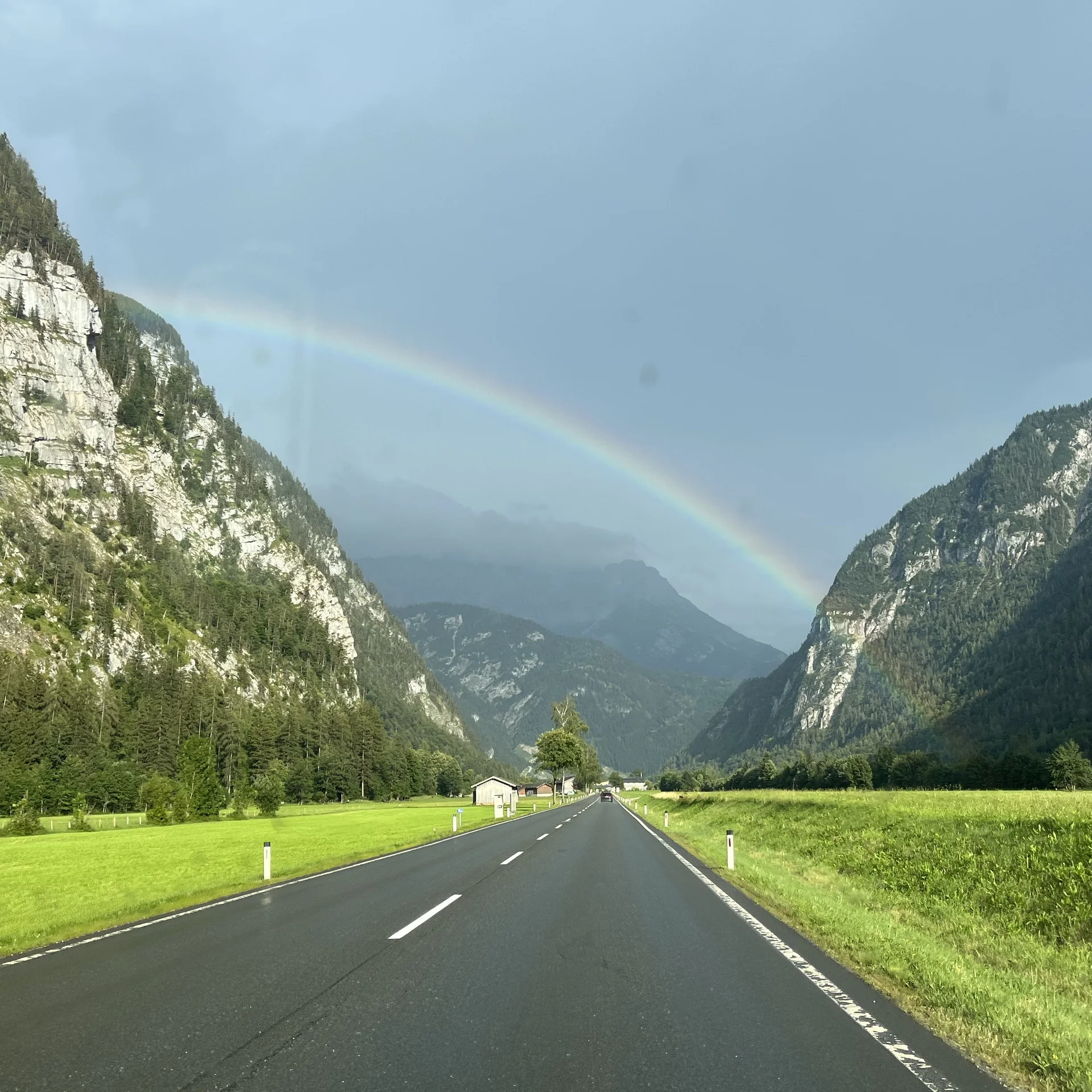 Gams | © DAV Sektion Hameln / Robert Paulsteiner