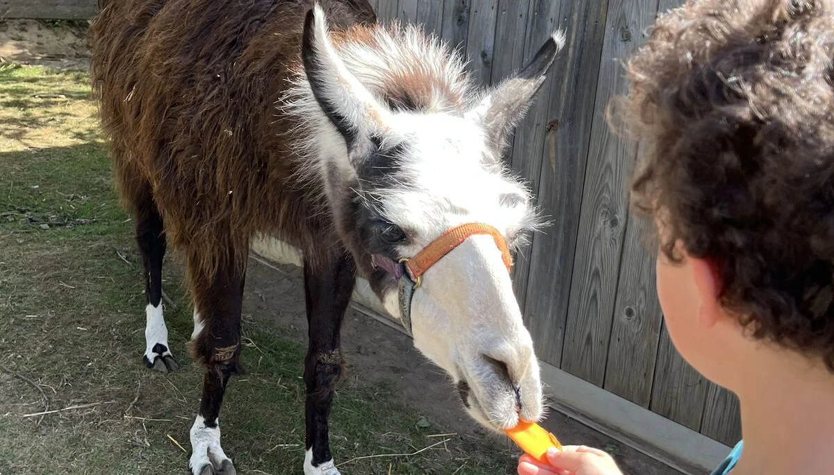 Gnadenhof | © DAV Sektion Hameln / Robert Paulsteiner