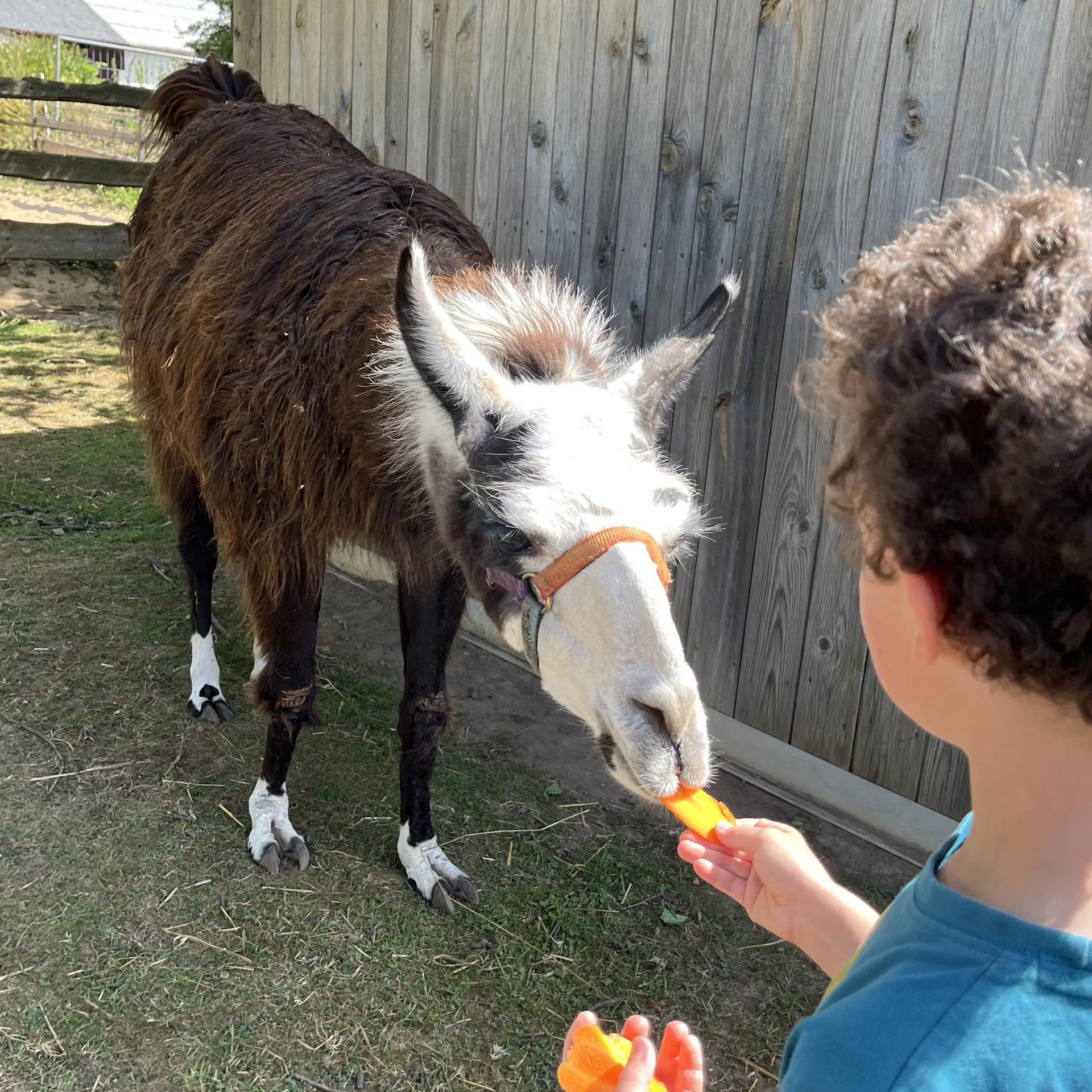 Gnadenhof | © DAV Sektion Hameln / Robert Paulsteiner