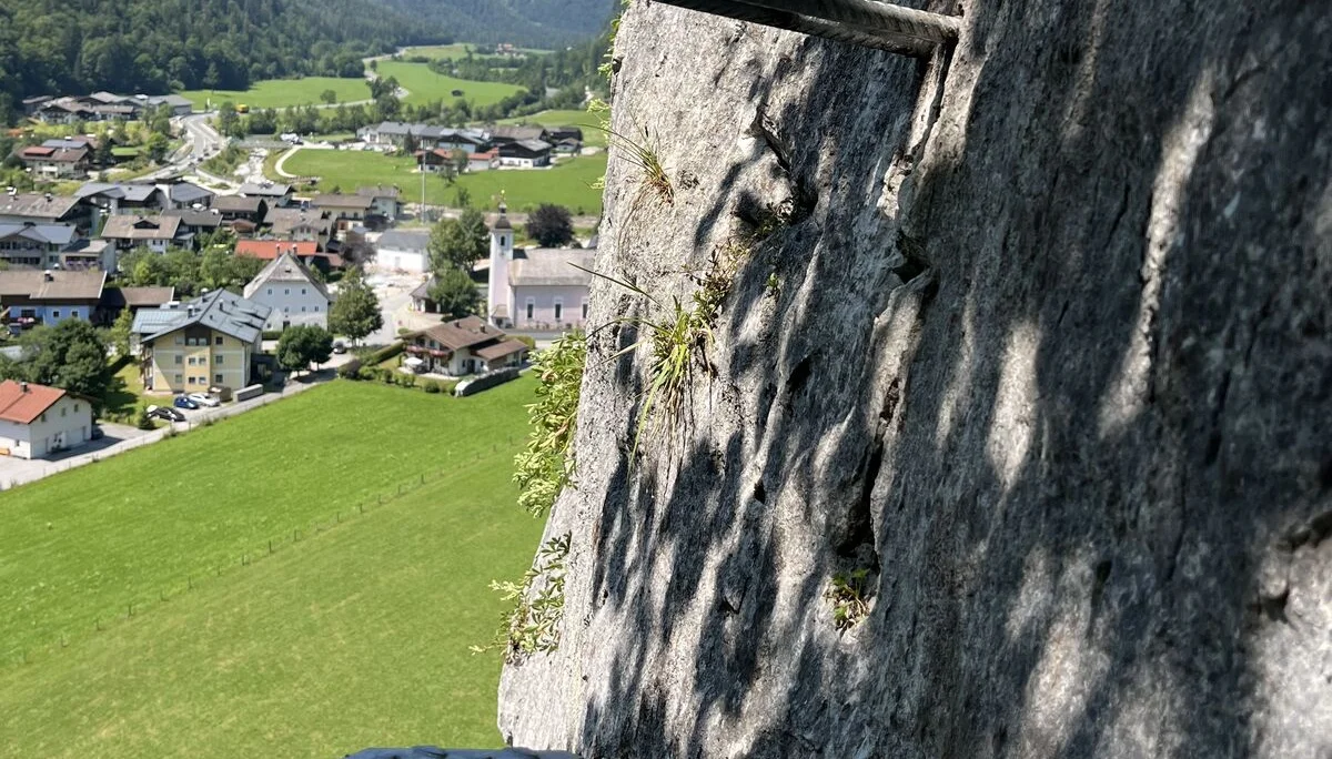 Gams | © DAV Sektion Hameln / Robert Paulsteiner