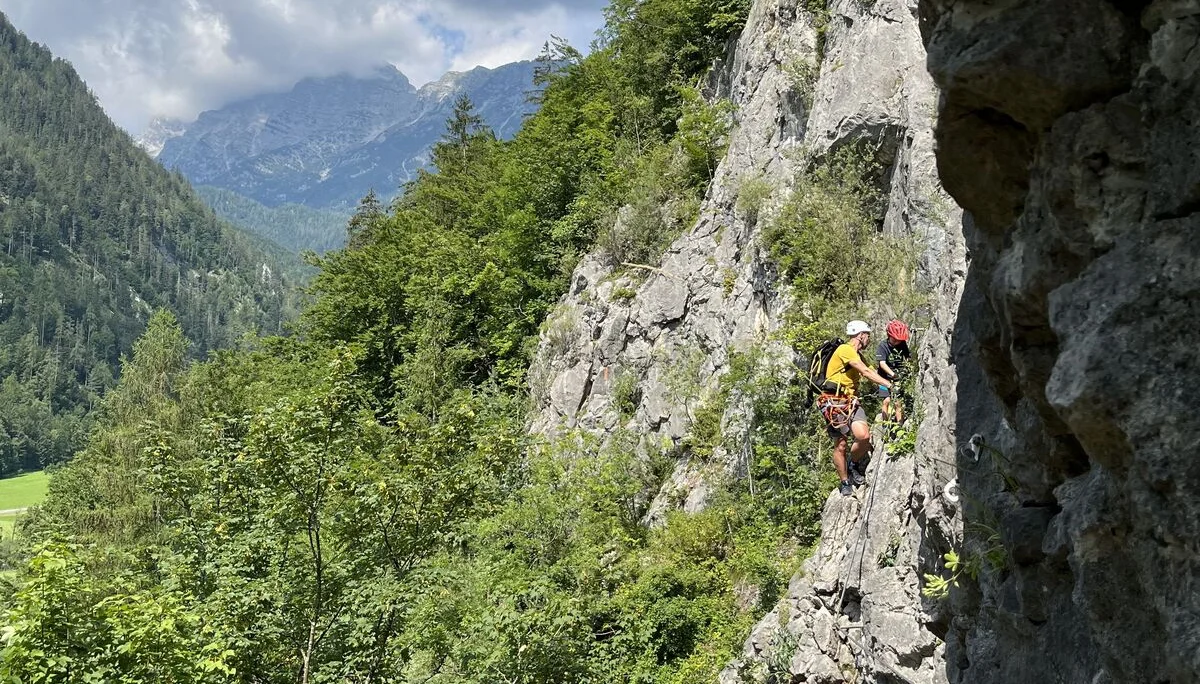 Gams | © DAV Sektion Hameln / Robert Paulsteiner