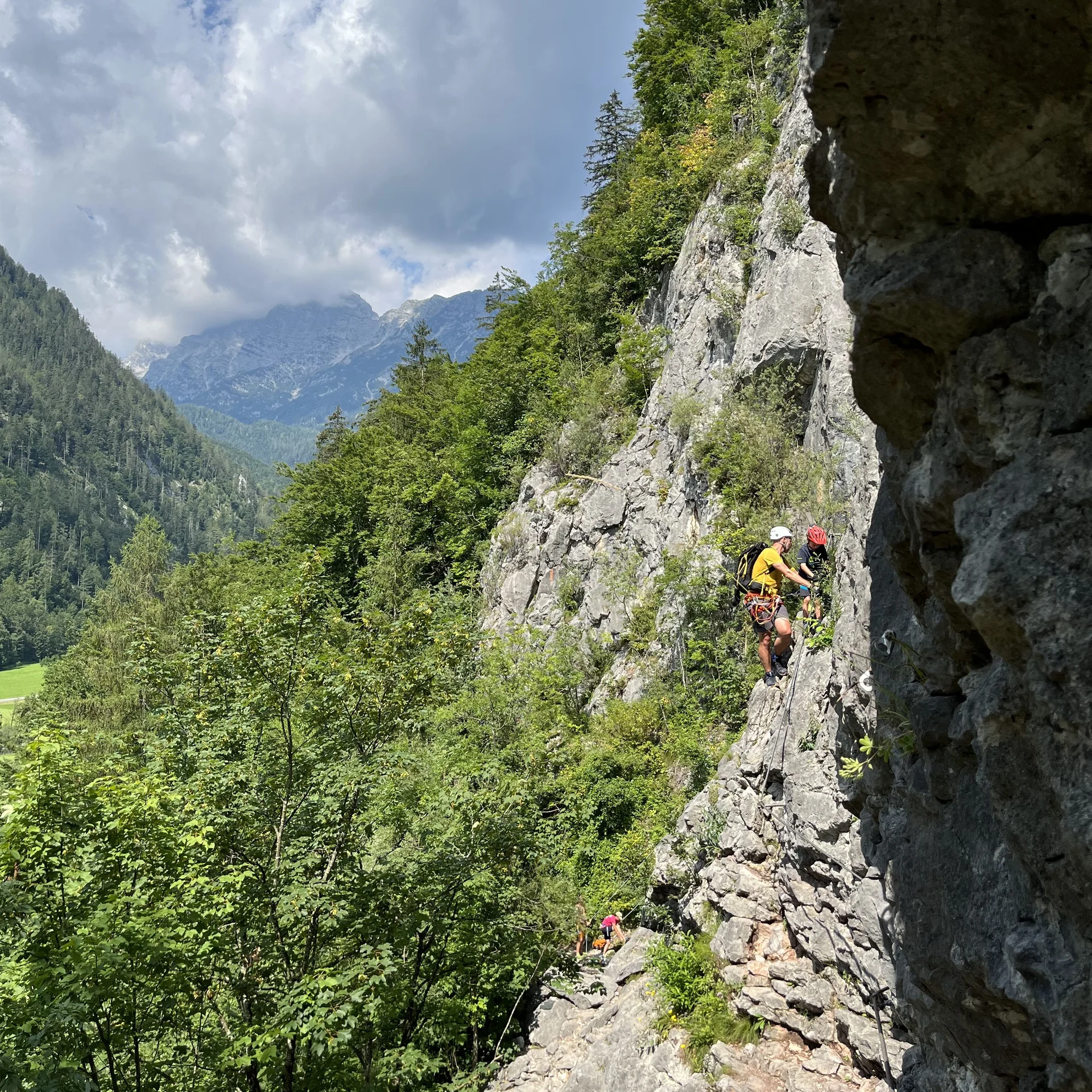 Gams | © DAV Sektion Hameln / Robert Paulsteiner