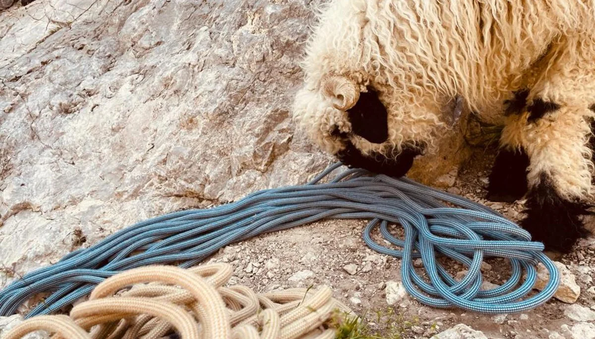 Seil - hmm lecker | © DAV Sektion Hameln