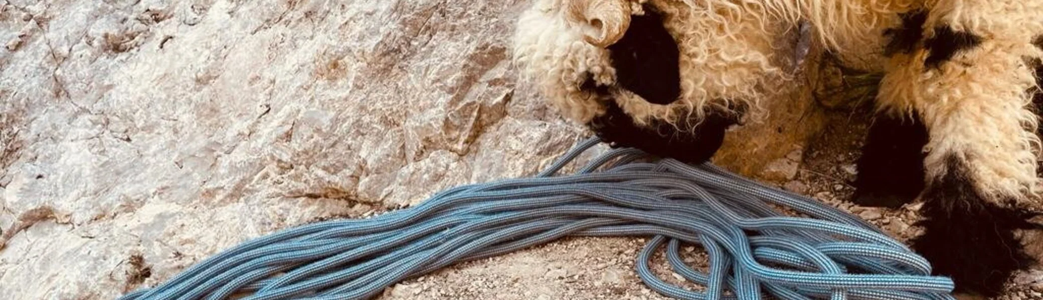 Seil - hmm lecker | © DAV Sektion Hameln