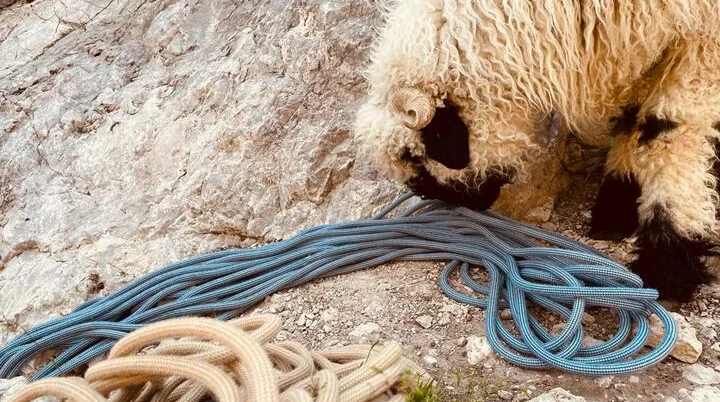 Seil - hmm lecker | © DAV Sektion Hameln