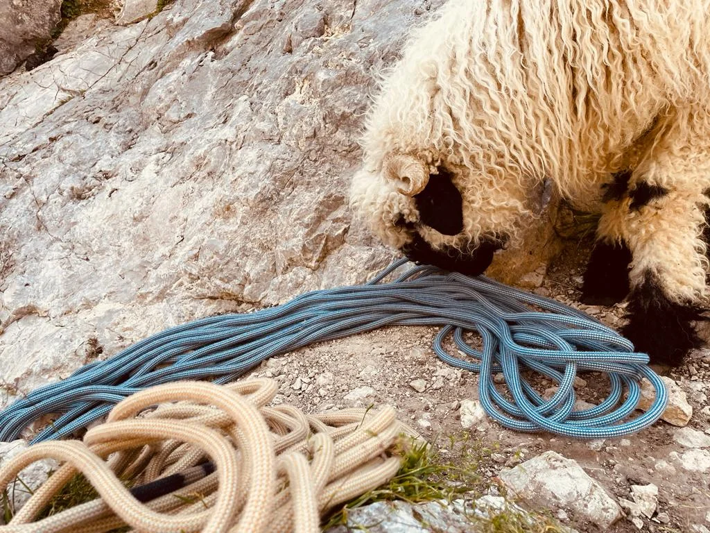 Seil - hmm lecker | © DAV Sektion Hameln