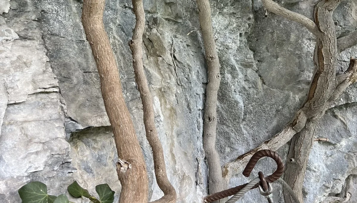 Ferrata Sasse | © DAV Sektion Hameln / Robert Paulsteiner