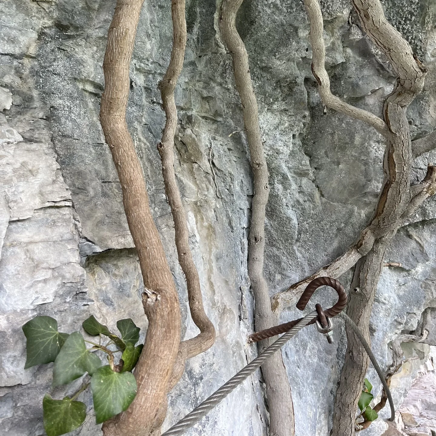 Ferrata Sasse | © DAV Sektion Hameln / Robert Paulsteiner