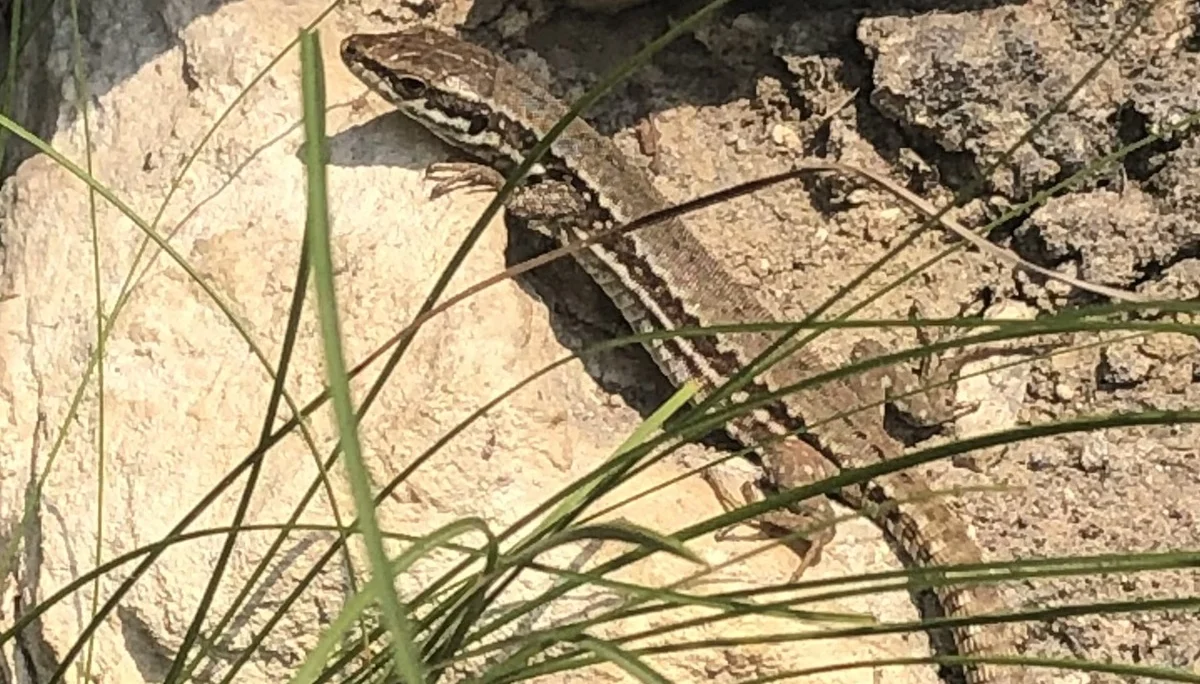  Ferrata Artpinistico Delle Niere | © DAV Sektion Hameln / Robert Paulsteiner