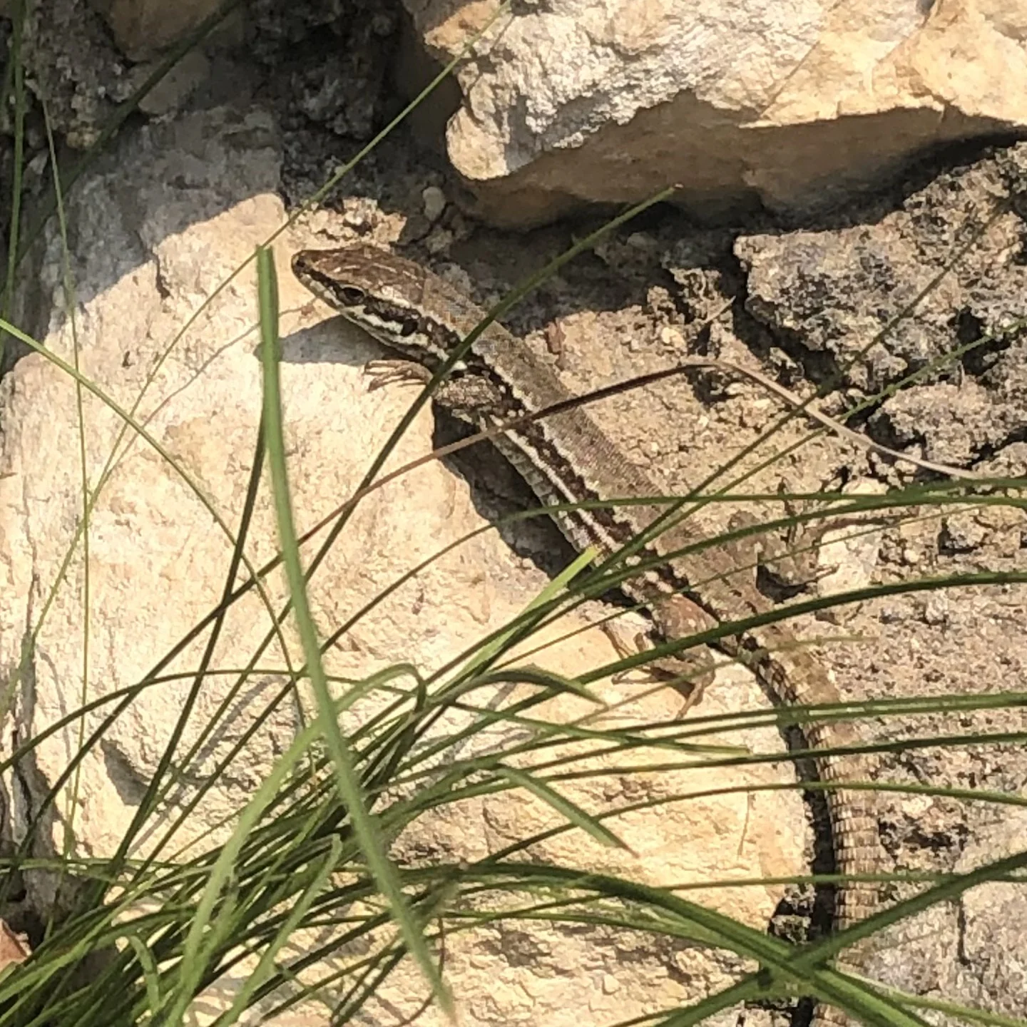  Ferrata Artpinistico Delle Niere | © DAV Sektion Hameln / Robert Paulsteiner