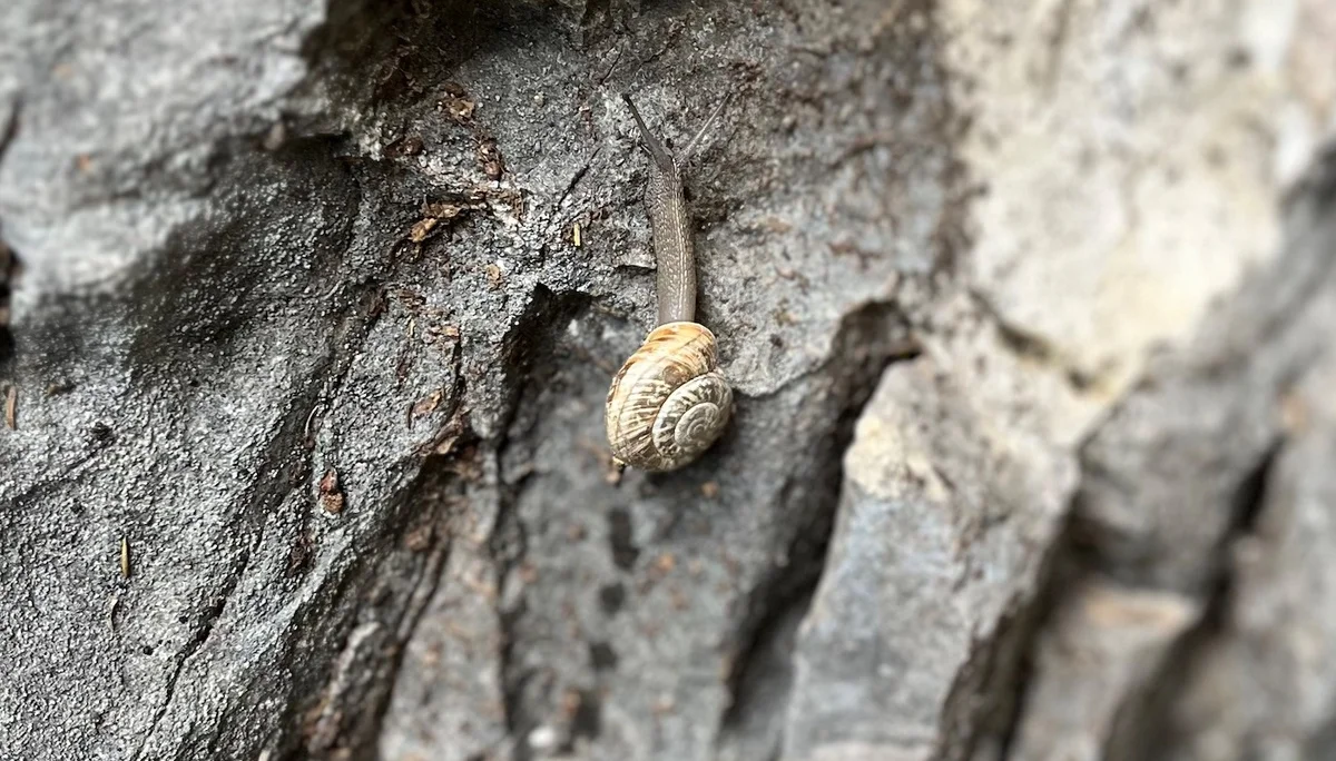  Ferrata Artpinistico Delle Niere | © DAV Sektion Hameln / Robert Paulsteiner