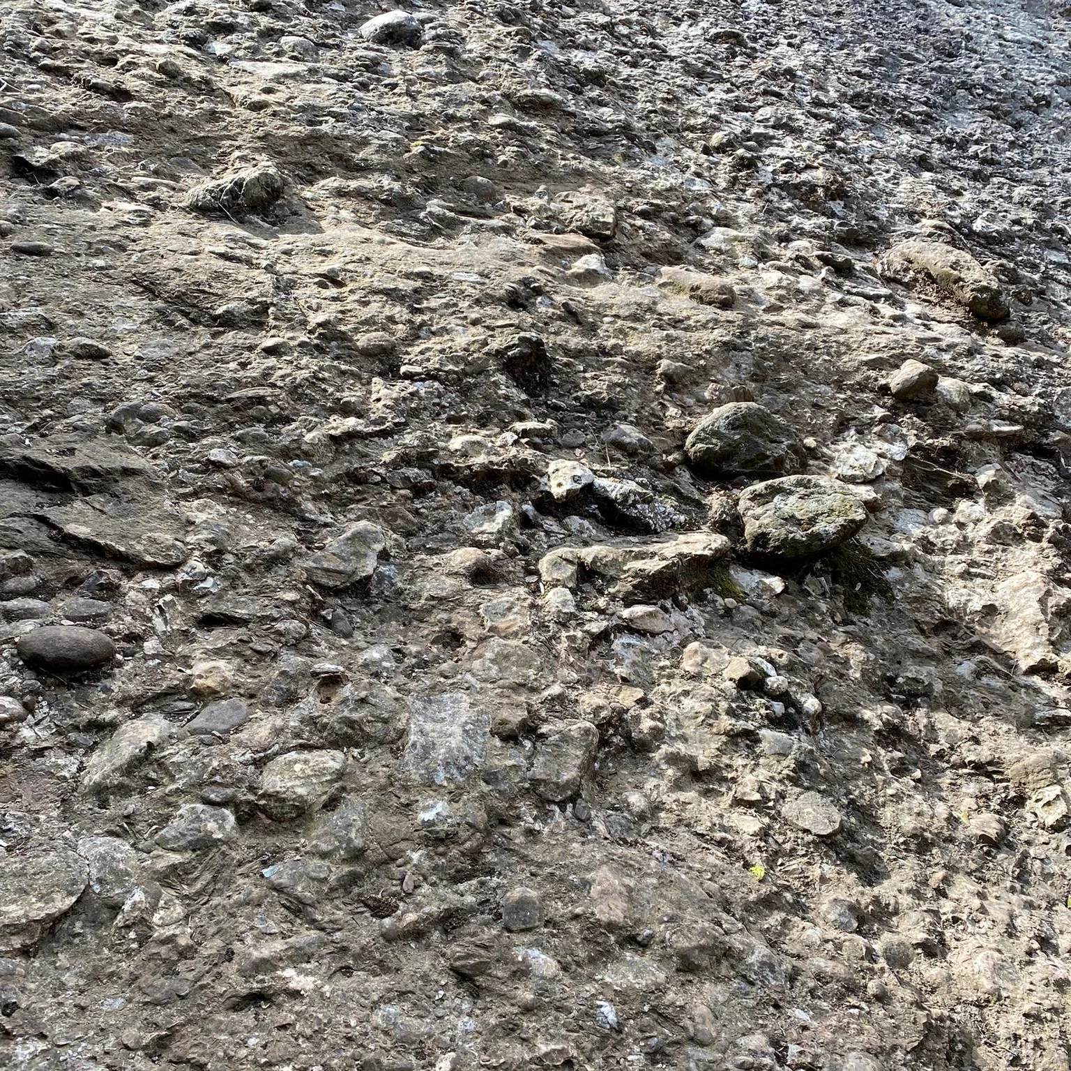 Abadia de Montserrat | © DAV Sektion Hameln / Robert Paulsteiner