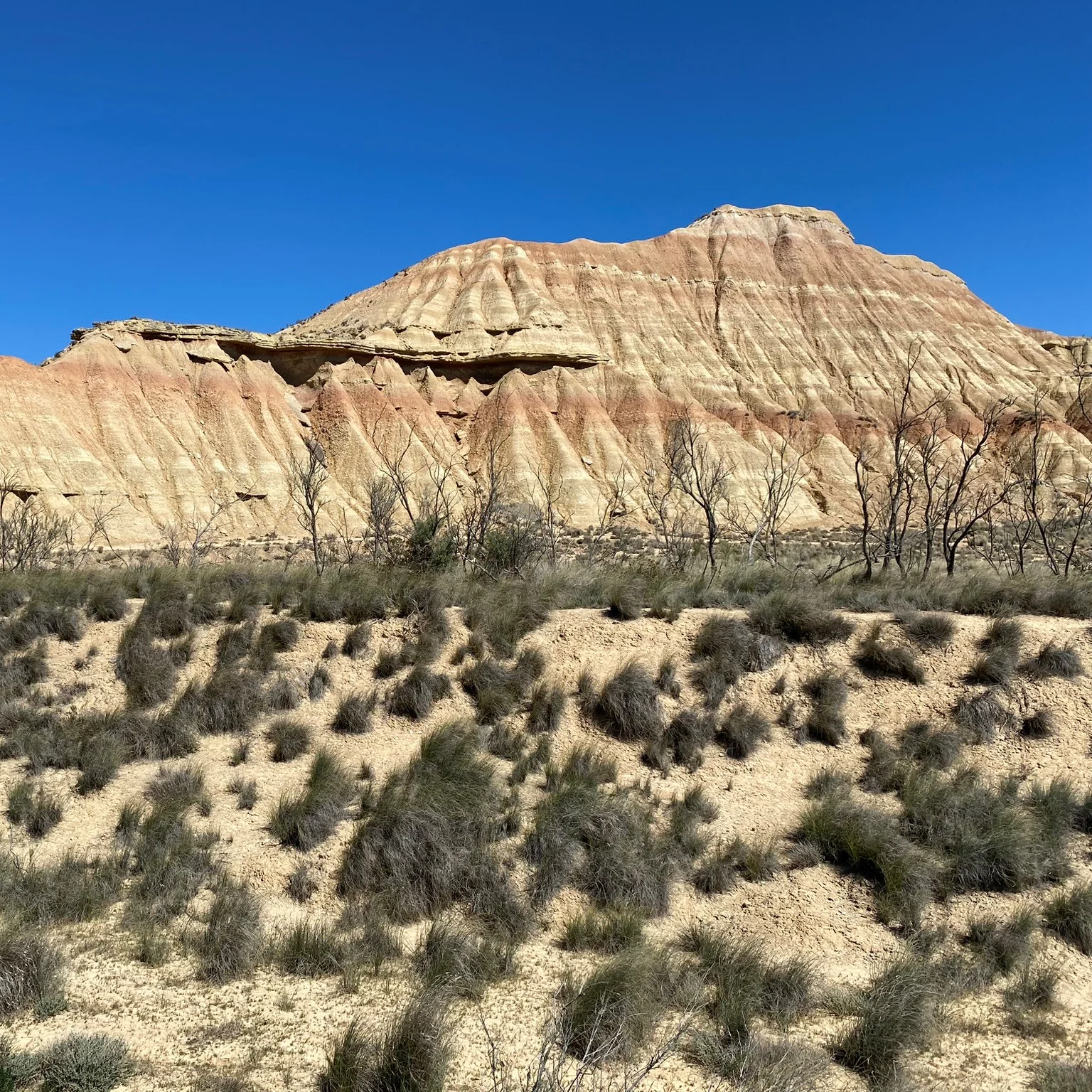 Las Bardenas Reales | © DAV Sektion Hameln / Robert Paulsteiner