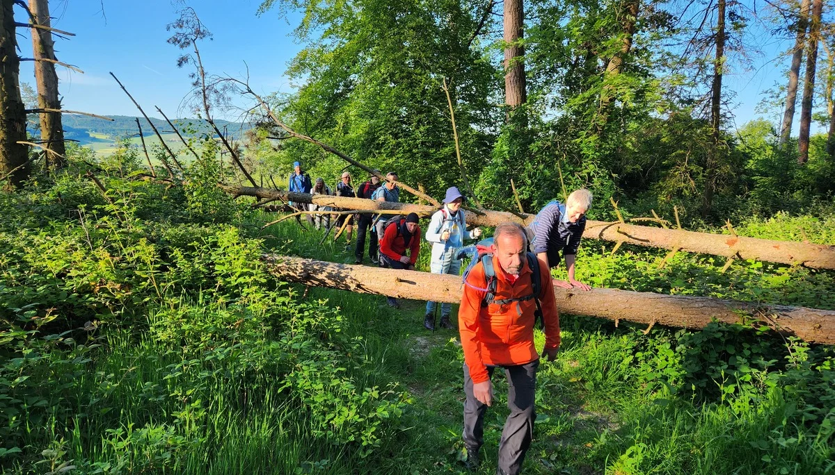 230603_Talumrundung 2023_3 | © DAV Sektion Hameln