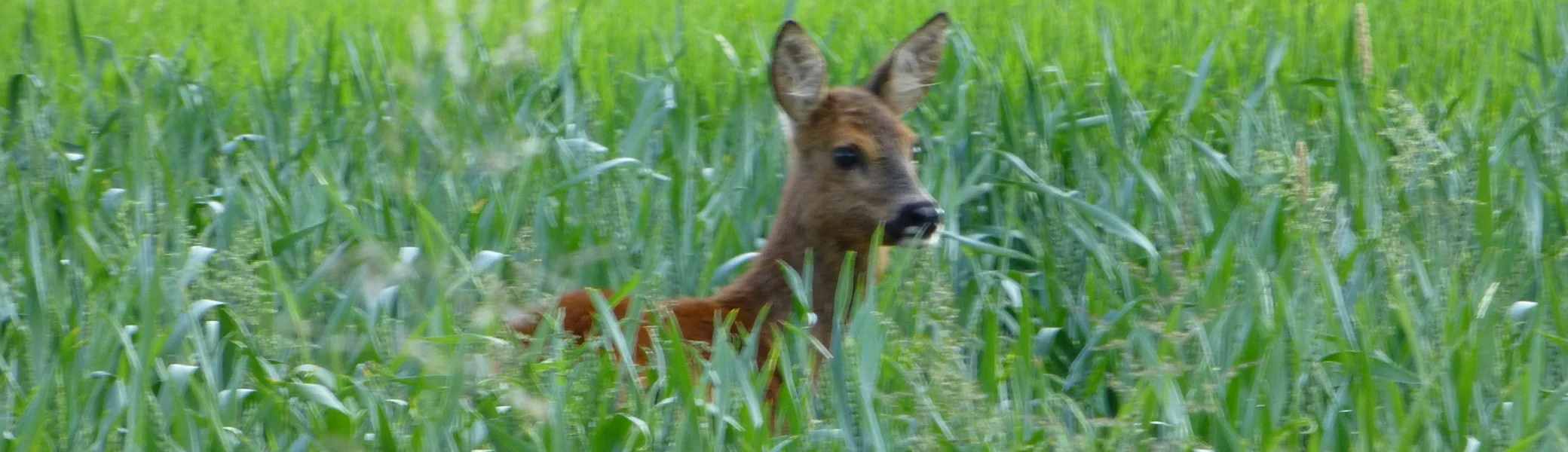 © DAV Sektion Hameln / Konrad Mäkeler