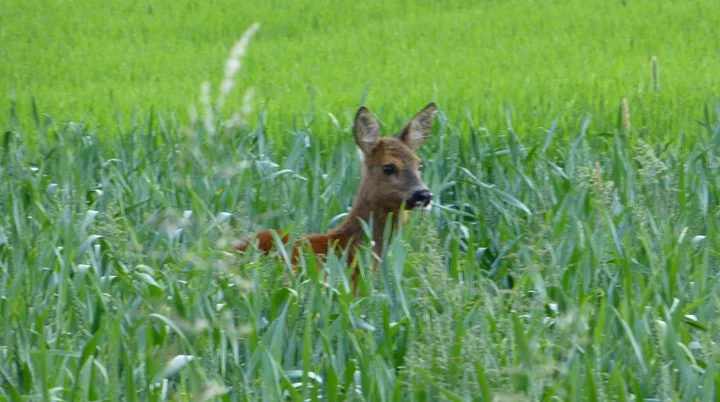 © DAV Sektion Hameln / Konrad Mäkeler