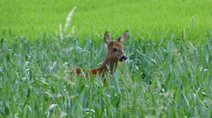 © DAV Sektion Hameln / Konrad Mäkeler