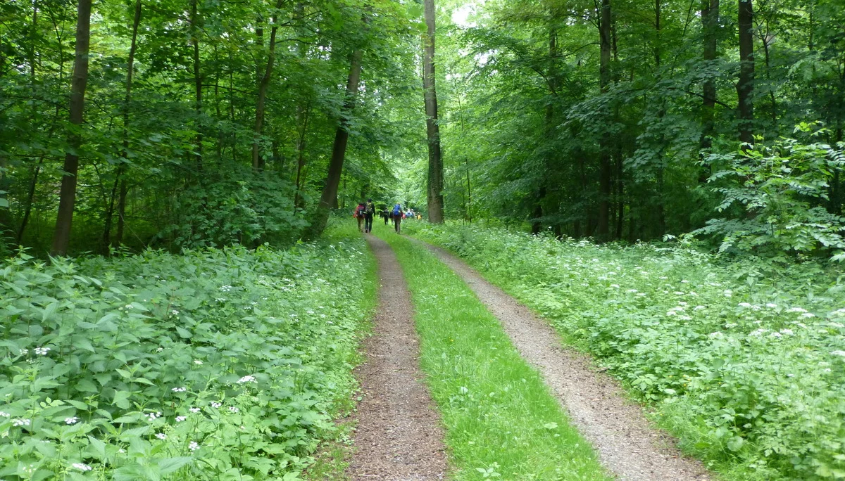 © DAV Sektion Hameln / Konrad Mäkeler