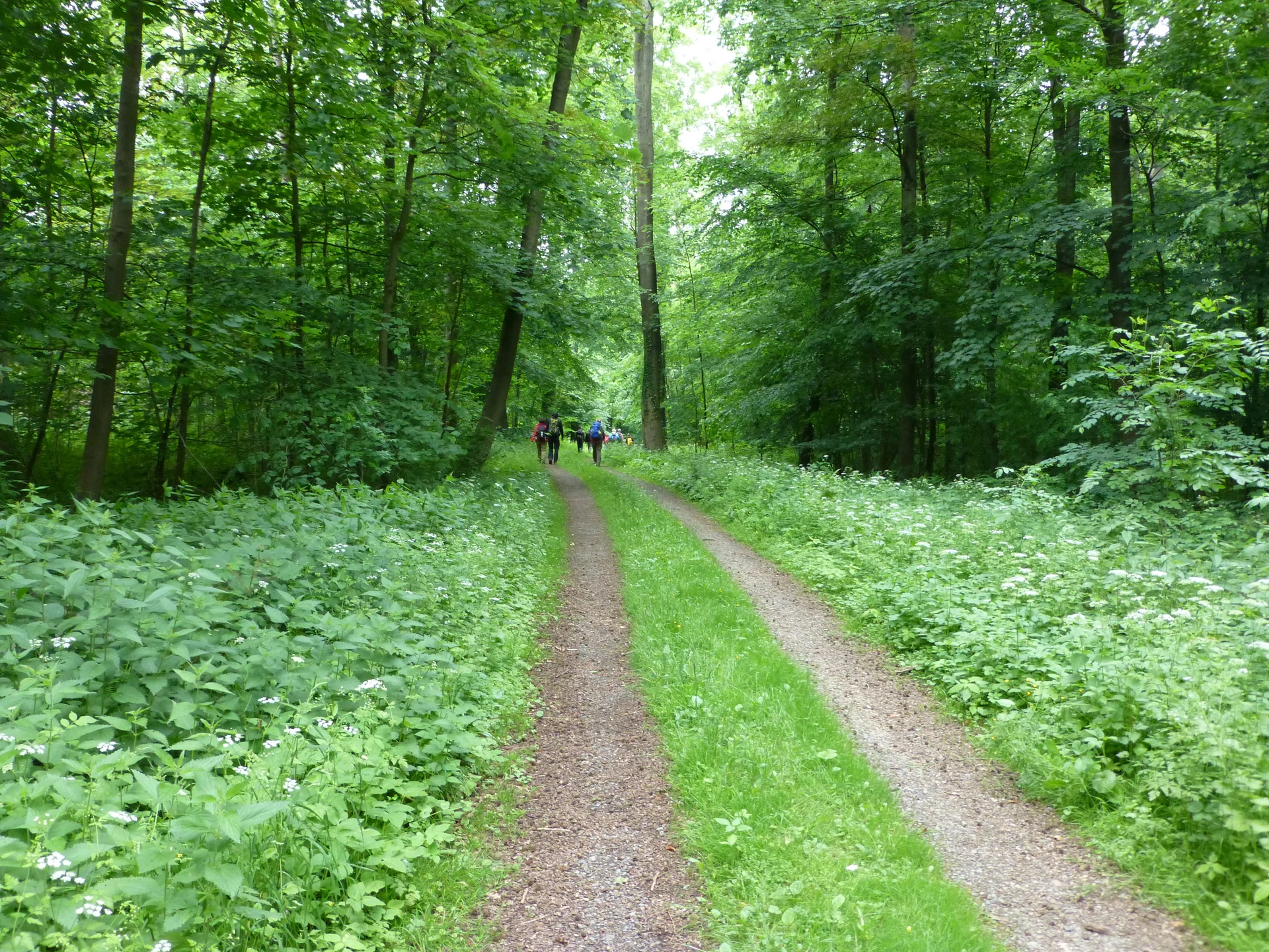 © DAV Sektion Hameln / Konrad Mäkeler