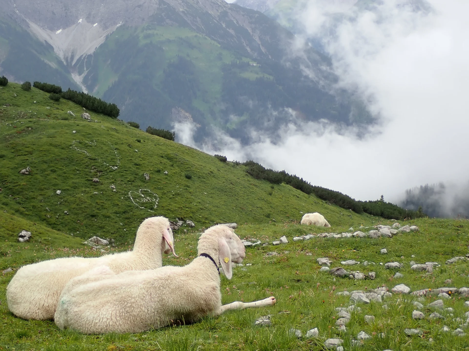 Alm-Idylle | © DAV Sektion Hameln