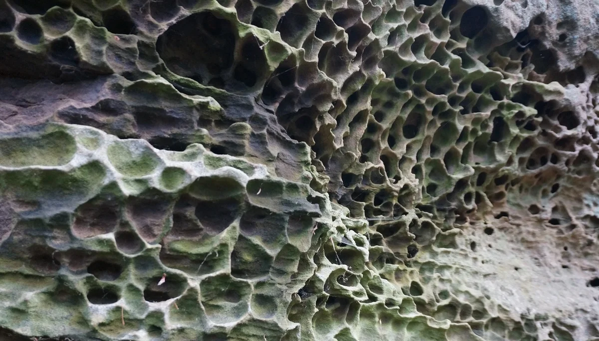 © DAV Sektion Hameln / August Becker