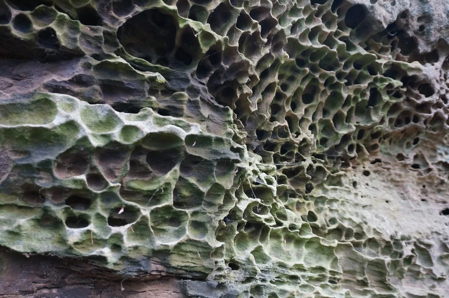 © DAV Sektion Hameln / August Becker