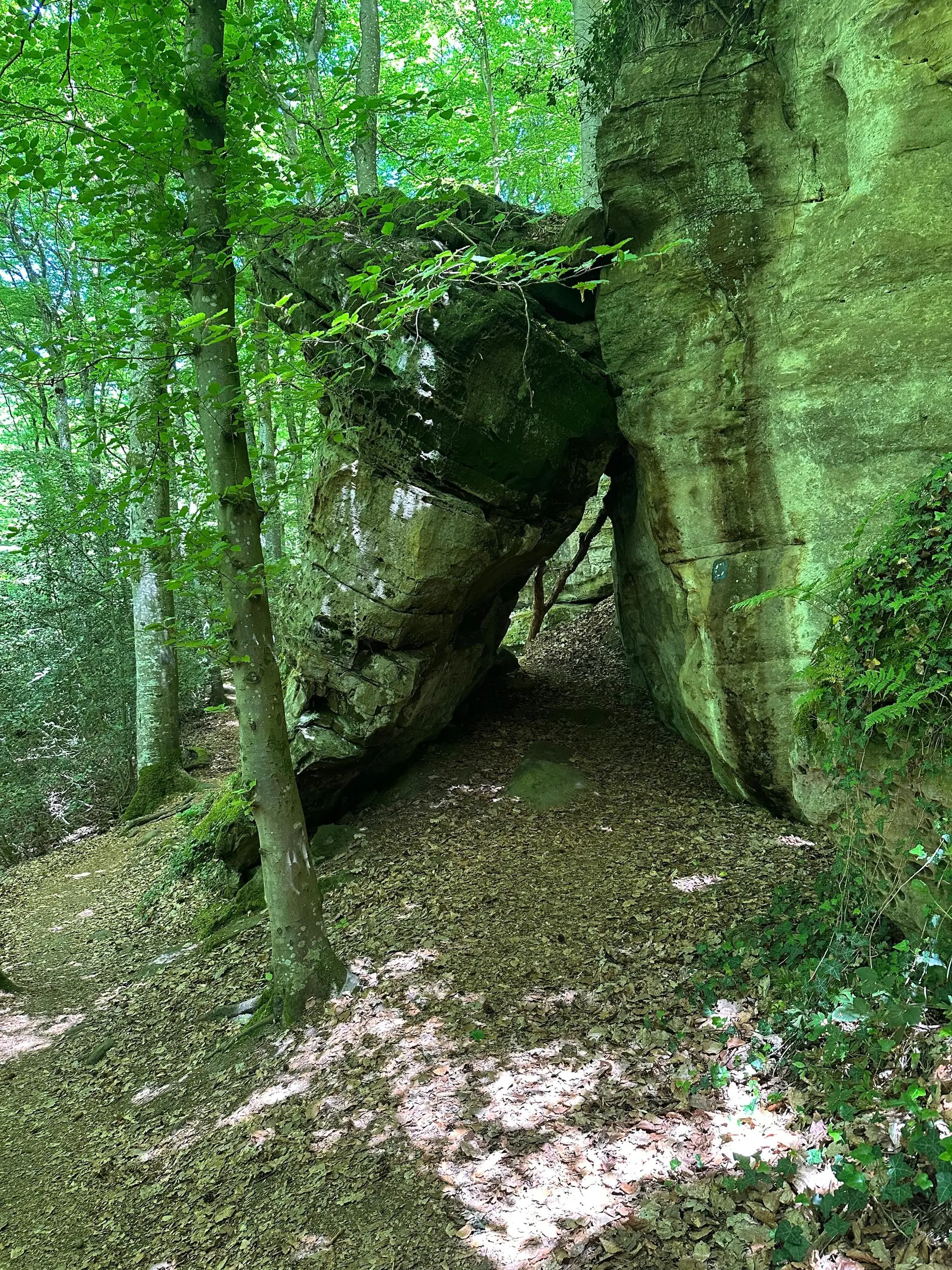 © DAV Sektion Hameln