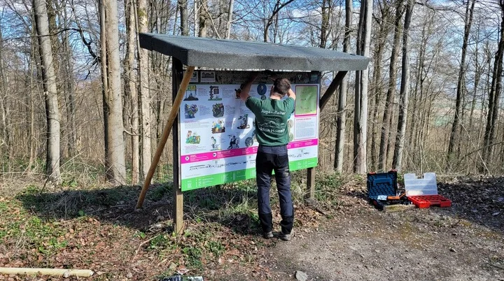 Gestellpflege am Ith-Turm | © DAV Sektion Hameln / Andreas Uhe