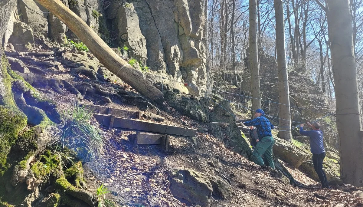 "Baum kommt" | © DAV Sektion Hameln / Andreas Uhe