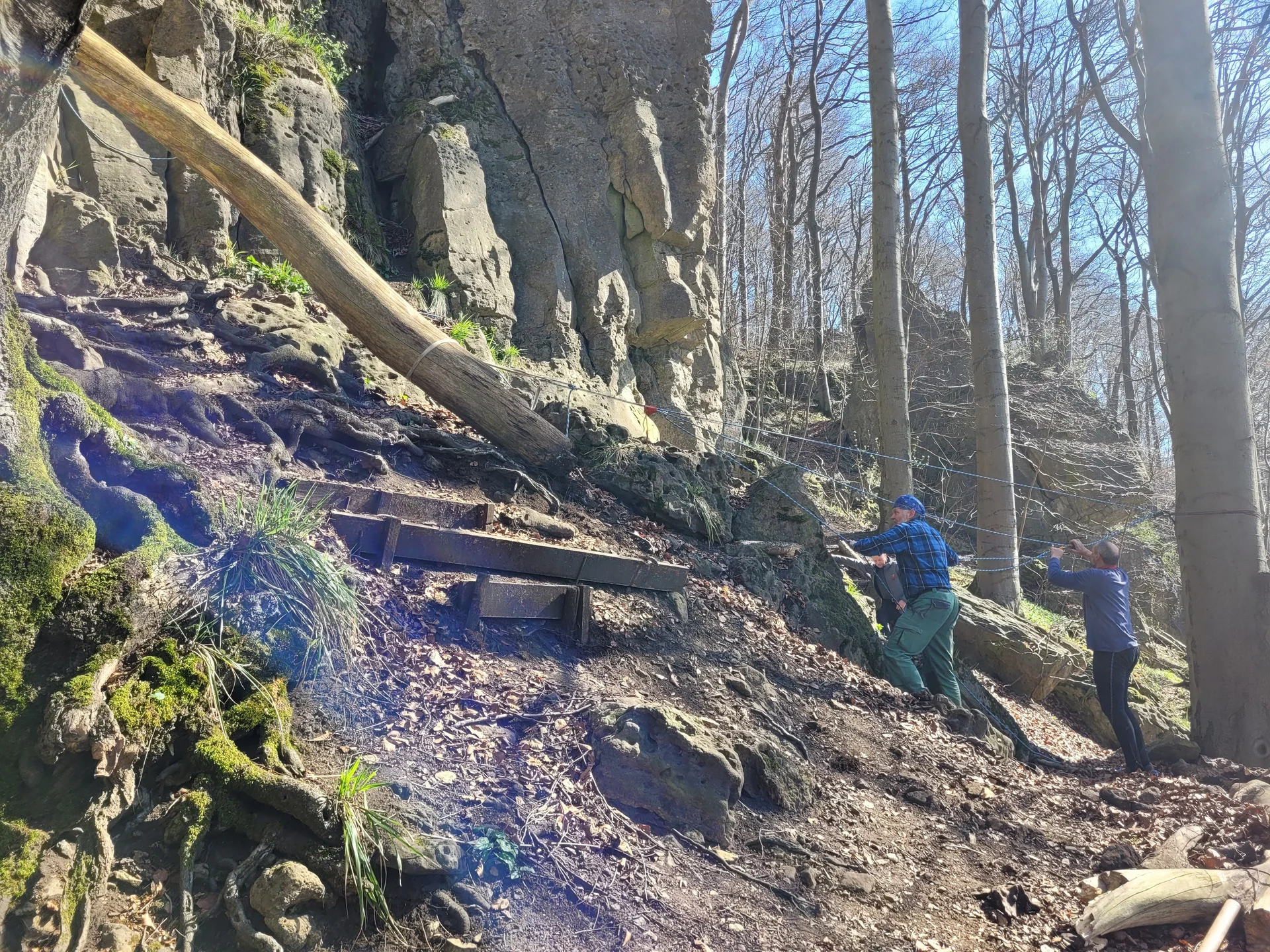 "Baum kommt" | © DAV Sektion Hameln / Andreas Uhe