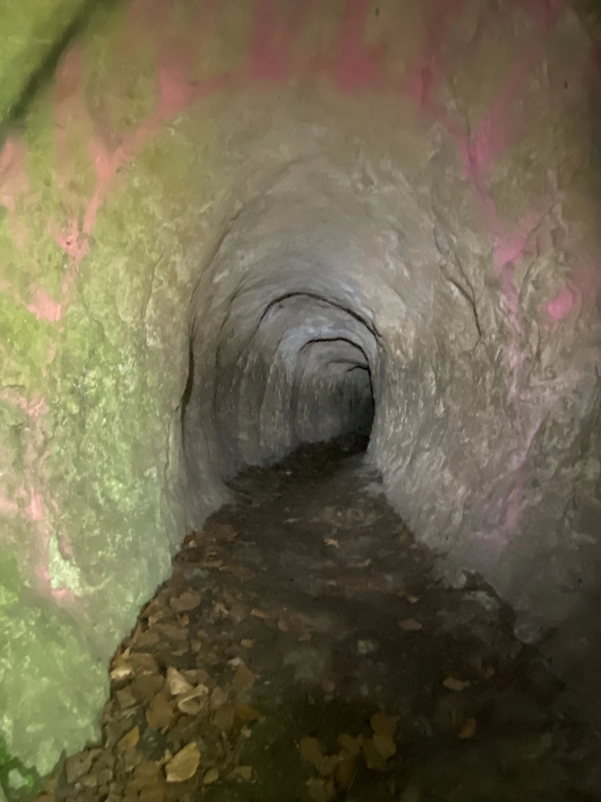 © DAV Sektion Hameln / Robert Paulsteiner