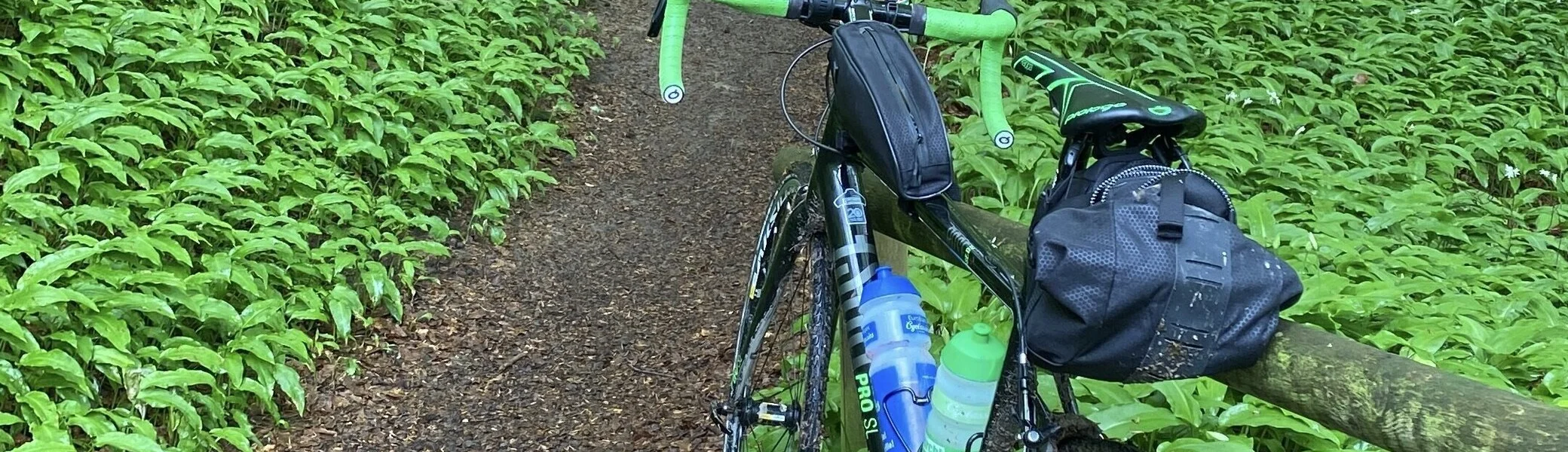 Auf dem E1 hoch zum Ith | © DAV Sektion Hameln / Robert Paulsteiner