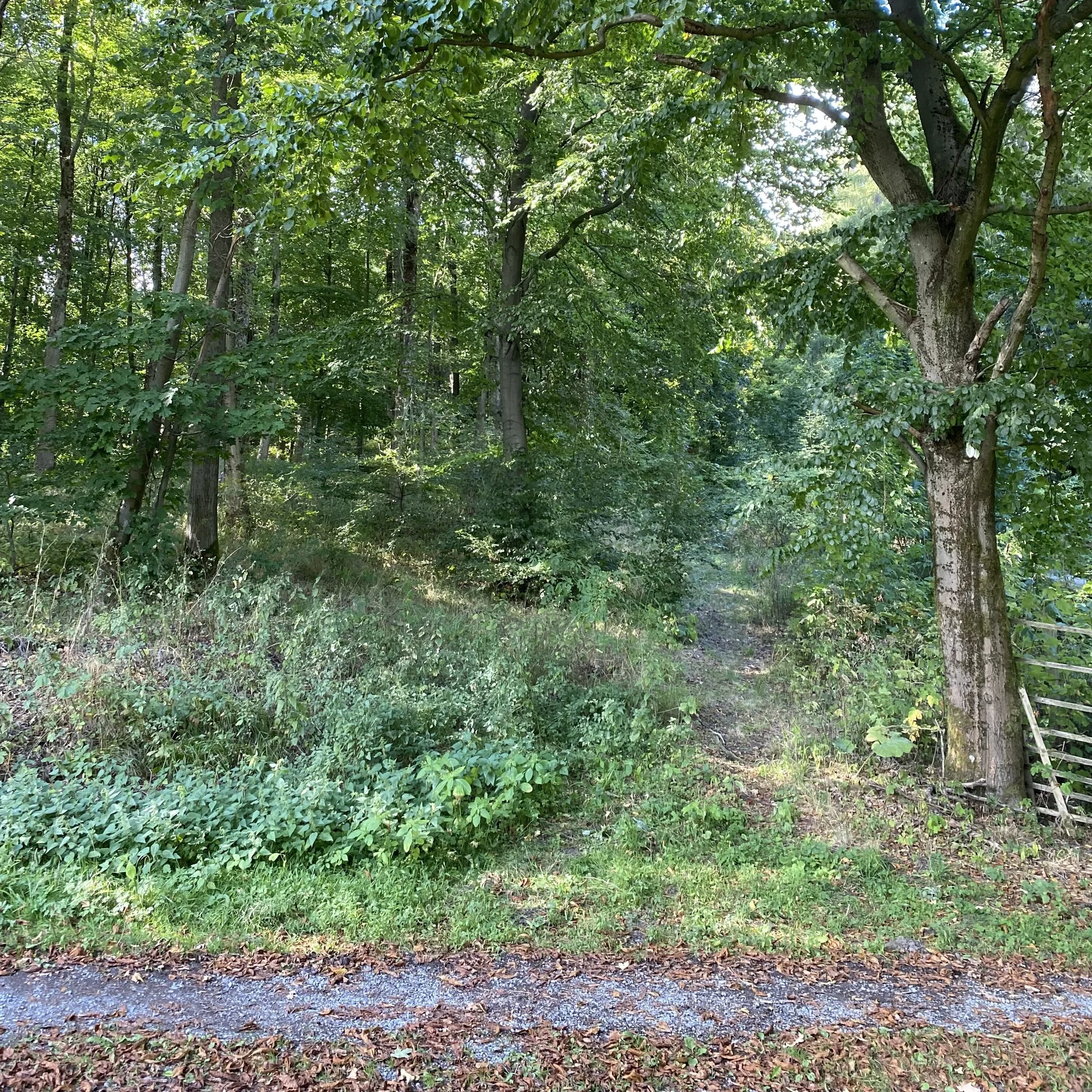 © DAV Sektion Hameln / Robert Paulsteiner © DAV Sektion Hameln / Robert Paulsteiner