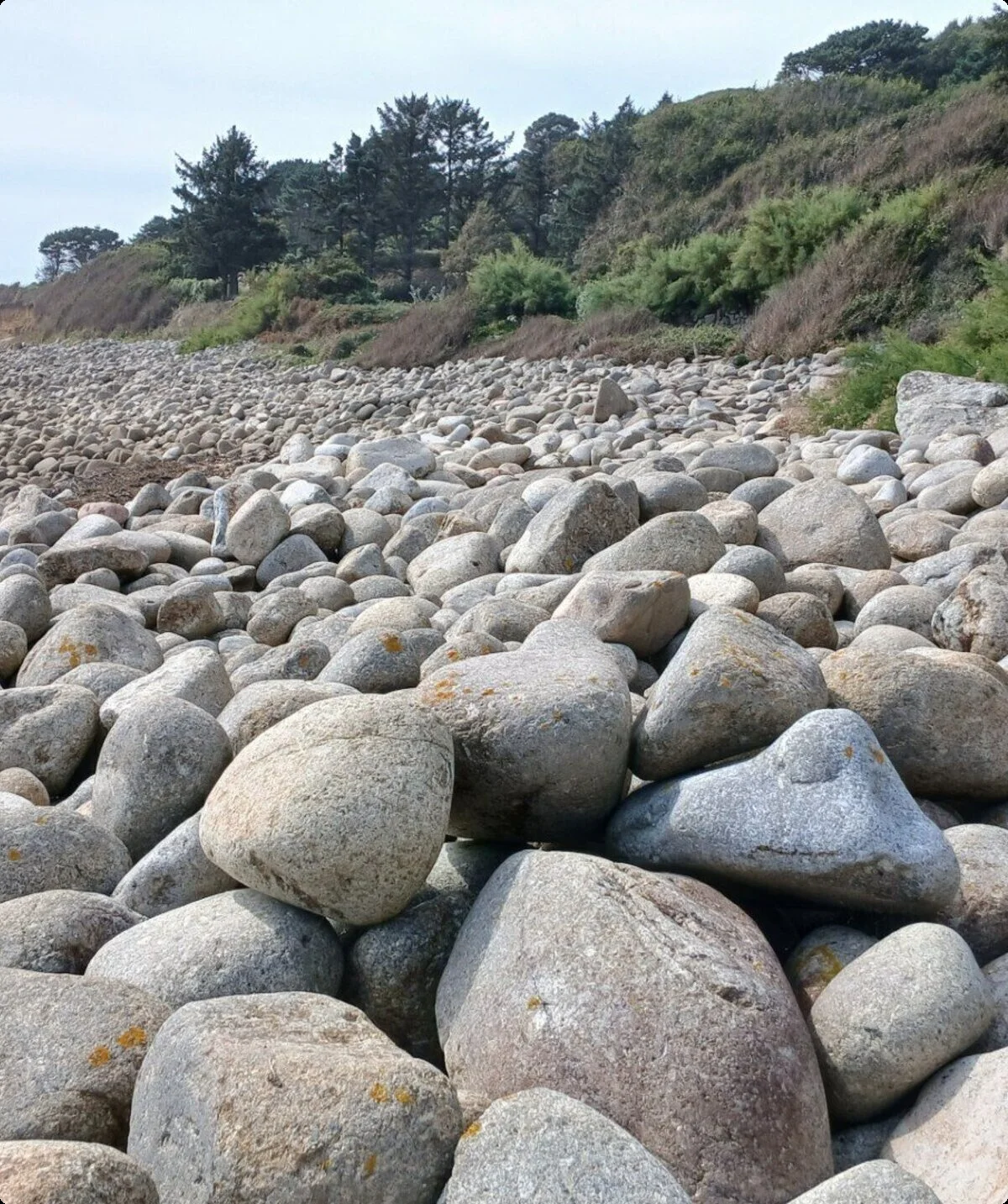 © Glüsen / Rasokat