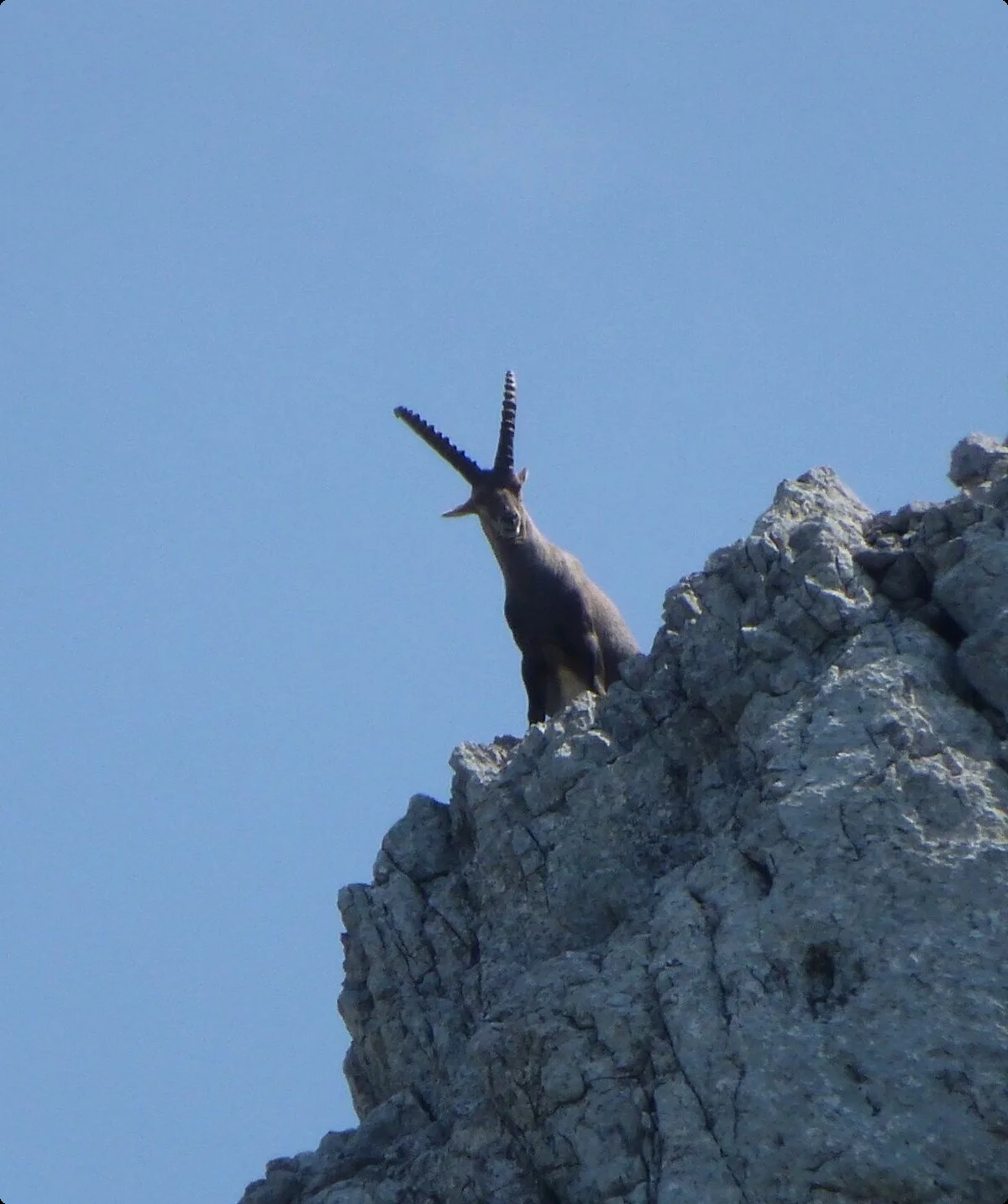 © DAV Sektion Hameln / Konrad Mäkler