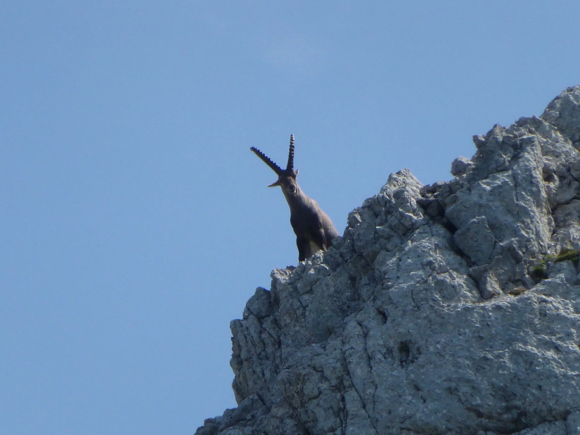 © DAV Sektion Hameln / Konrad Mäkler © DAV Sektion Hameln / Konrad Mäkler