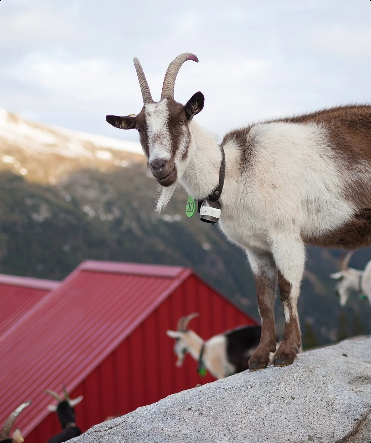 © Mythos Gotthard – Pass der Pioniere
